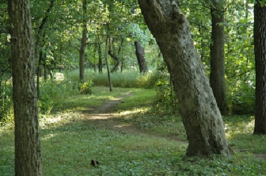 trail picture